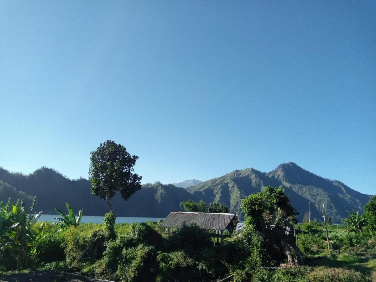 Lake Batur Cottage 방글리 외부 사진